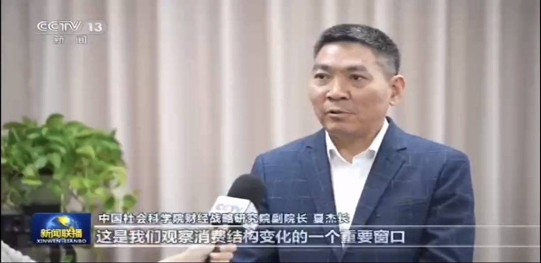 财经战略研究院夏杰长研究员接受中央电视台《新闻联播》采访